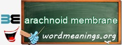 WordMeaning blackboard for arachnoid membrane